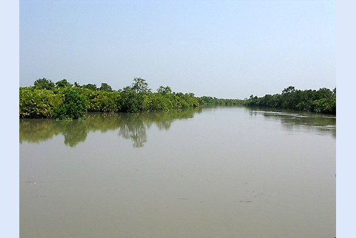 Viaggio in India 2008 - Sunderbans